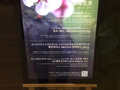 -Dragonfly悠庭·按摩Spa(浦东嘉里城店)