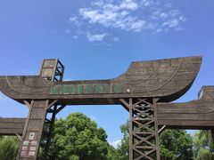 -溱湖国家湿地公园