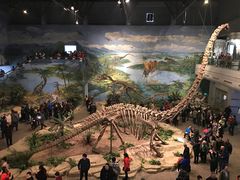 -自贡恐龙博物馆