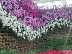 -石家庄市植物园