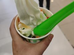 -Salud撒露欧洲冻酸奶(蓝色港湾店)