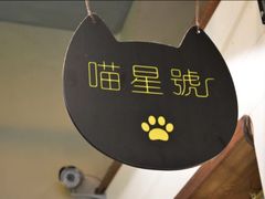 -猫咪博物馆(顶澳仔猫街店)