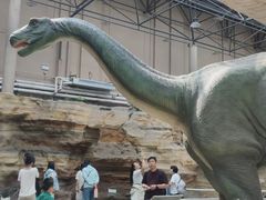 -国家自然博物馆