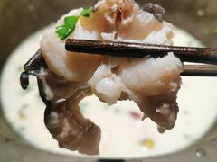 -鲜潭蒸汽石锅鱼(五道口购物中心店)