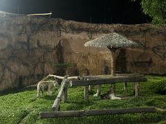 -清迈夜间动物园