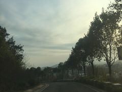 -羊山湖公园