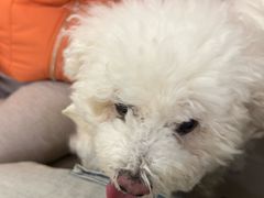 -美联众合动物医院·24h转诊中心