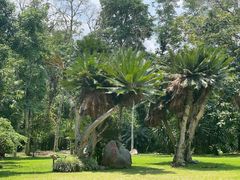-中国科学院西双版纳热带植物园