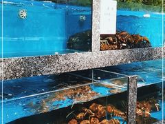 -宝燕海鲜(好爱店)