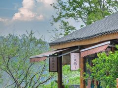 -空港花田景区