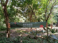 -南宁良凤江国家森林公园