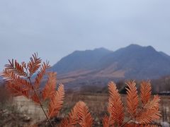 -光雾山旅游景区