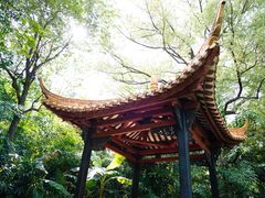 -广州兰圃