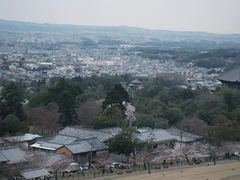 -奈良公园