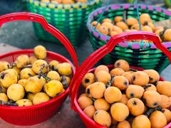 -塘栖枇杷特色园区