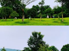 -钟山体育运动公园