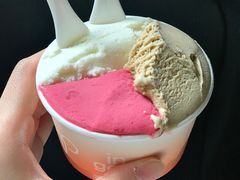 -Dip in Gelato(富民路店)