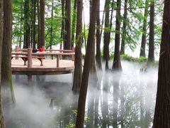 -东湖落雁景区