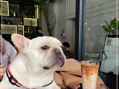 -the rug 飞毯 (朝阳公园店)