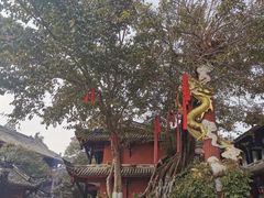 -黄龙溪古镇-古龙寺