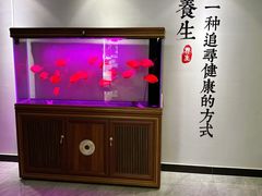 -金蚁康•经络调理•肩颈按摩(万达金街店)