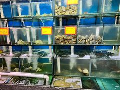 -蚝专家(北滘店)