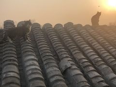 -EATALIA意塔利意式餐厅(鼓楼店)