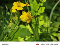 -黑龙江省森林植物园