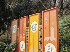 -塔子山公园
