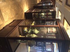 苔圣园-苔圣园酒家(尊木汇国际艺术广场店)
