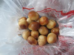 -京八珍(和平东桥店)