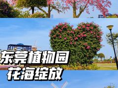 -东莞植物园
