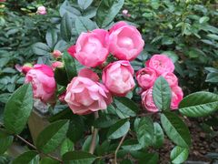 -人民公园(罗湖区)