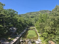 -白水寺森林公园