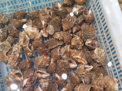 -和源祥·日照菜扛把子(万平口一店)