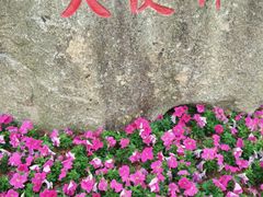 -芒洲湿地公园