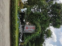 -广州白江湖森林公园