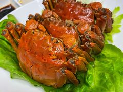 熟醉大闸蟹-肥仔文澳门猪骨煲(南京西路店)