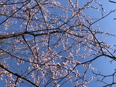 -仙居谷风景区