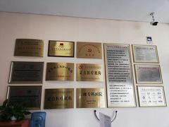 -北京德尔康尼骨科医院