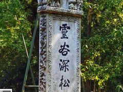 -灵谷景区