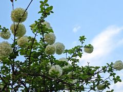 -大龙山(地铁站)