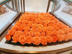 -I Do(重庆龙湖北城天街购物广场店)