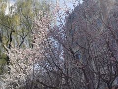 -老友咖啡馆(吉林财富购物广场店)