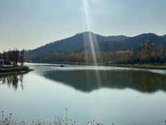 -千年银杏谷文化旅游区