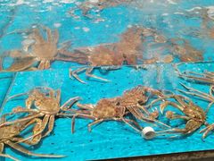 -艳阳天·非遗楚菜(武汉客厅店)