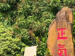 -广州神农草堂中医药博物馆