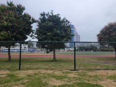-五邑大学