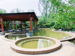 -思念果岭悦温泉