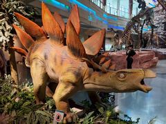 -安徽省地质博物馆